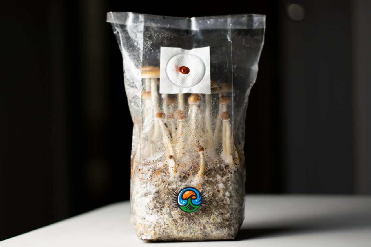 Grow Kit Big